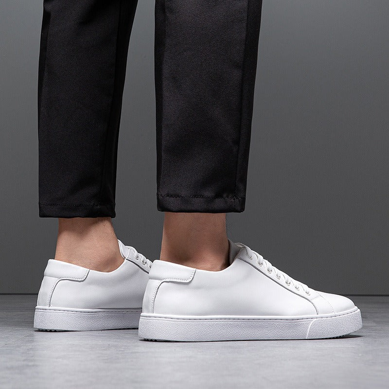 Tom Sterling Urban Signature Shoes