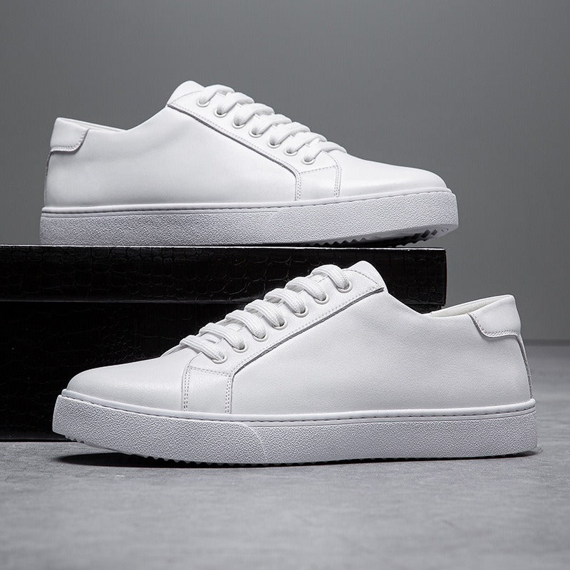 Tom Sterling Urban Signature Shoes