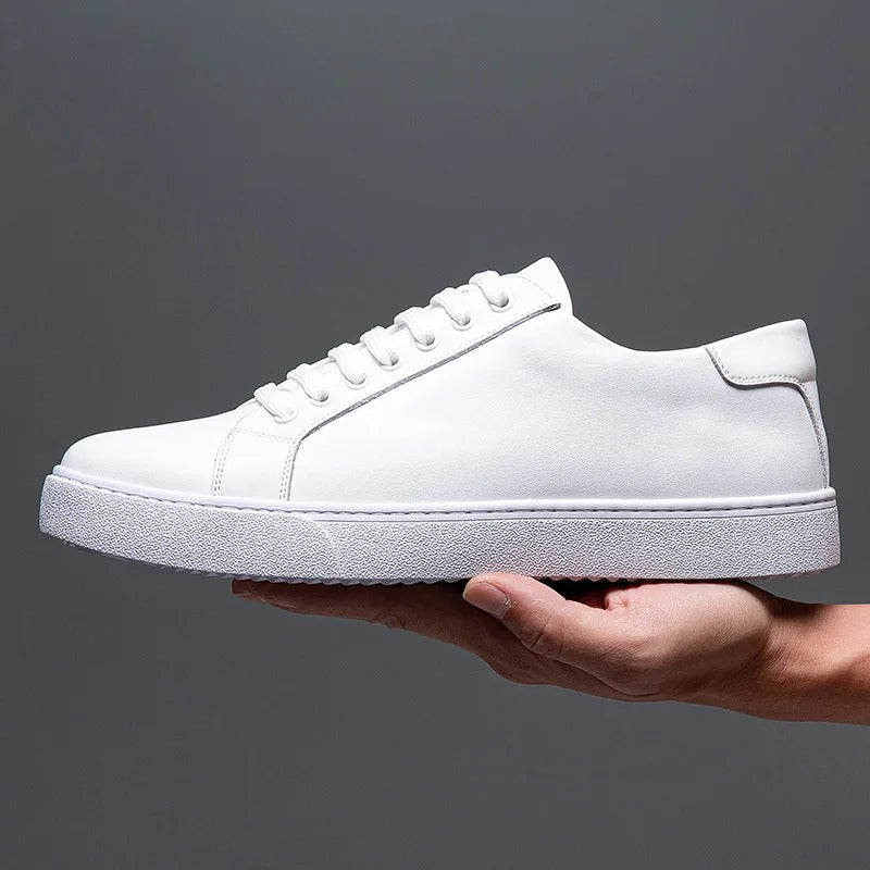Tom Sterling Urban Signature Shoes