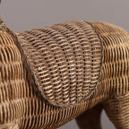The Roman Trojan Horse