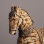 The Roman Trojan Horse